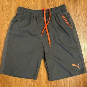 Puma Men's Grey Shorts